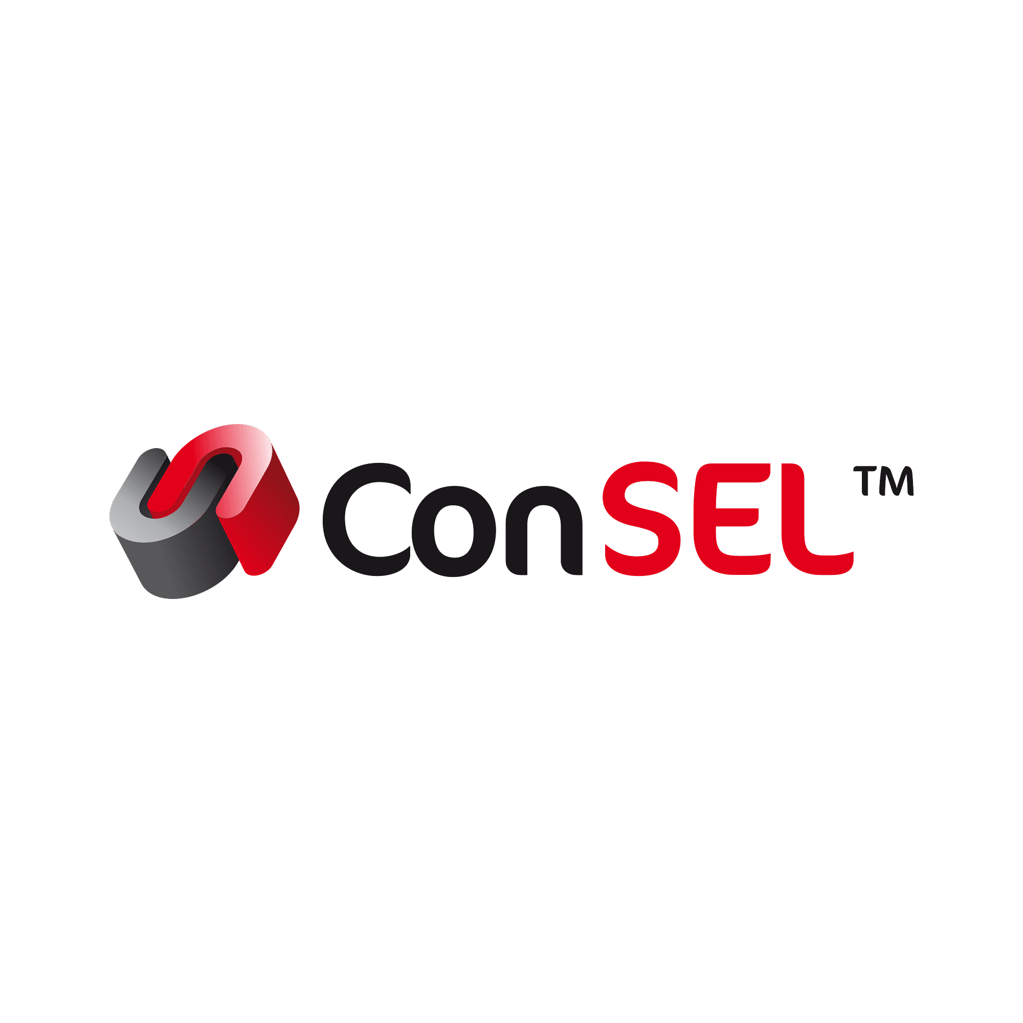 ConSEL – rail vehicle fleet monitoring and management system